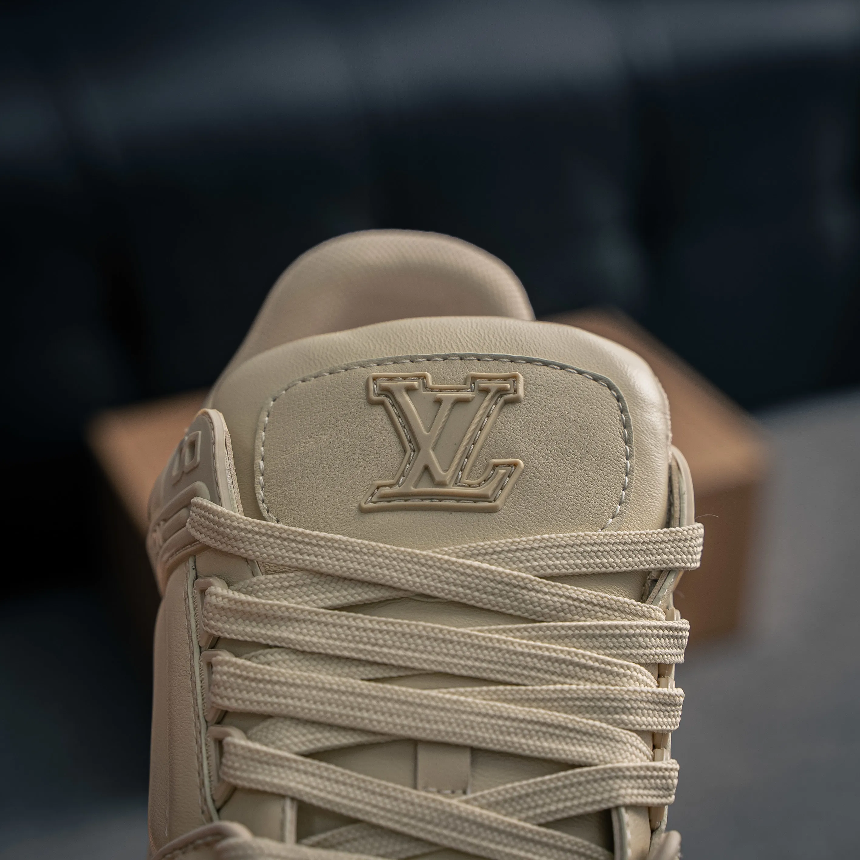 Louis Vuitton Trainer lv Sneakers Shoes Shoes